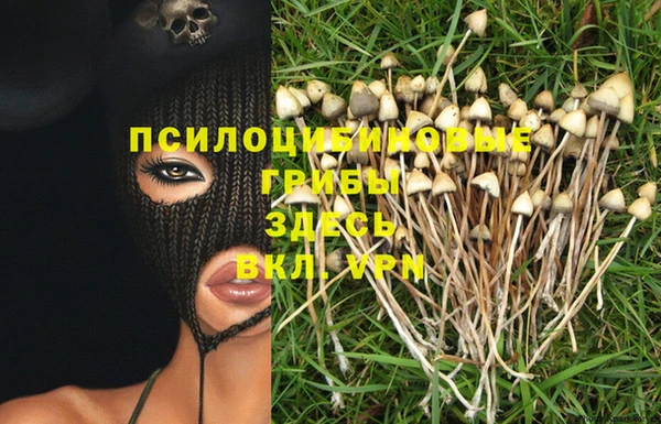 твердый Алексин