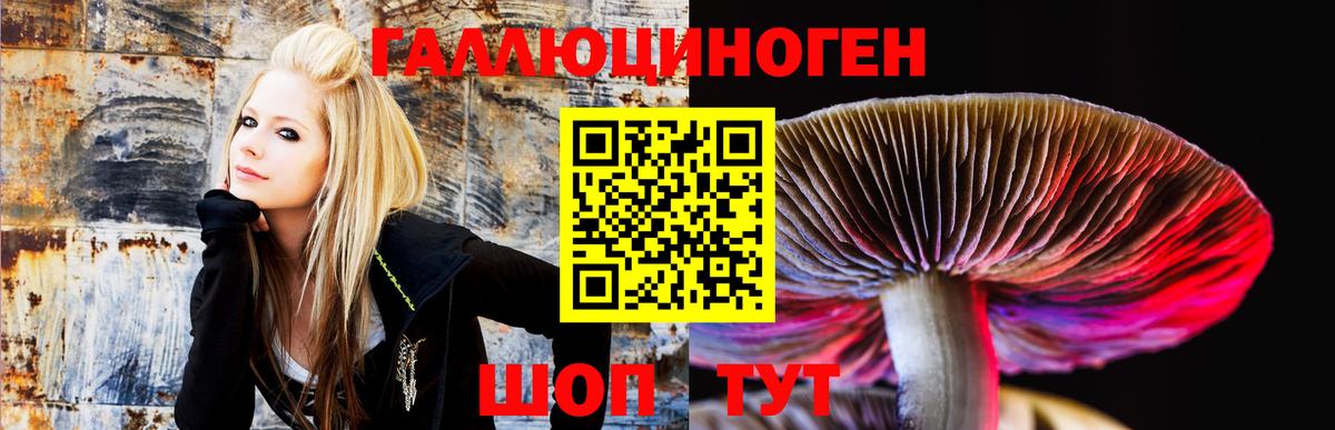 Галлюциногенные грибы GOLDEN TEACHER  Вход с VPN  Изобильный 